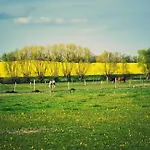 Am Pferdehof Schapow
