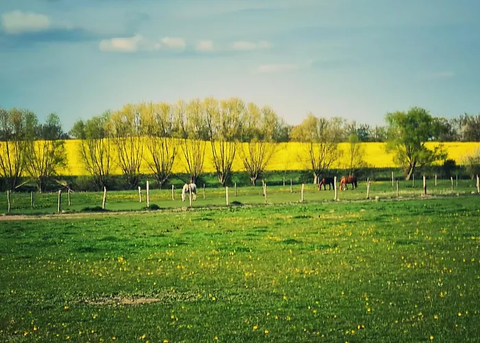Ferienhaus Am Pferdehof Schapow