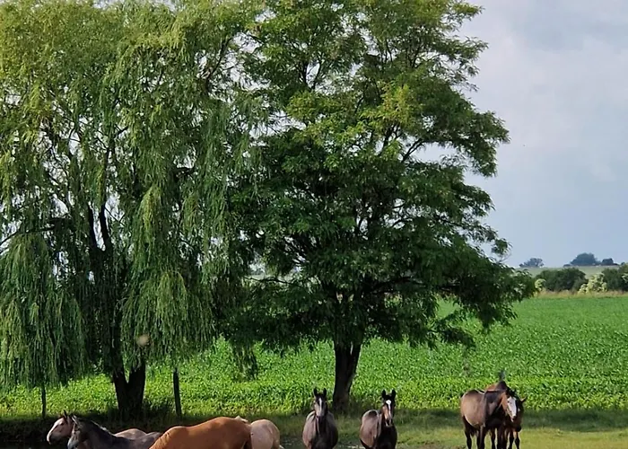 Nyaraló Ferienhaus Am Pferdehof Schapow
