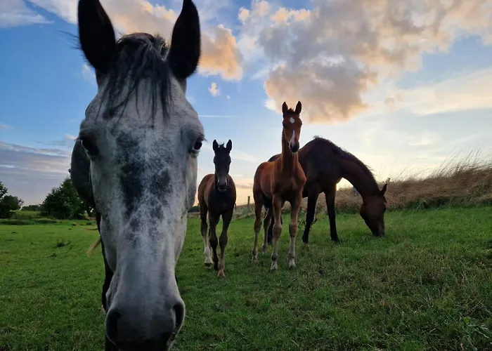 Nyaraló Ferienhaus Am Pferdehof Schapow