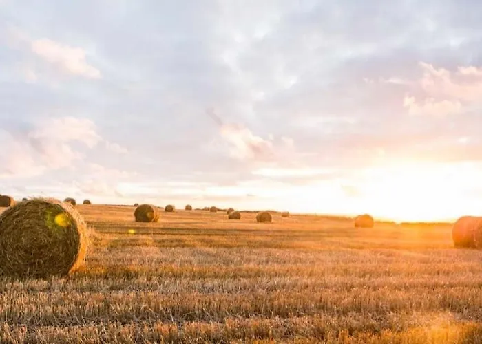 Ferienhaus Am Pferdehof Schapow